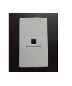 Mặt nạ âm tường 1 cổng (Mạng-Thoại-TV)