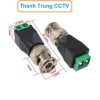 Đầu BNC dạng bắt vít 2 dây, jack BNC đực bắt vít tại Thành trung CCTV 0989282821